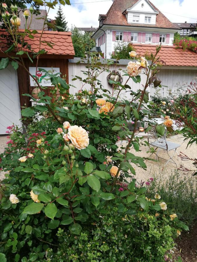 B&B Rosenliebe Niedereschach Экстерьер фото