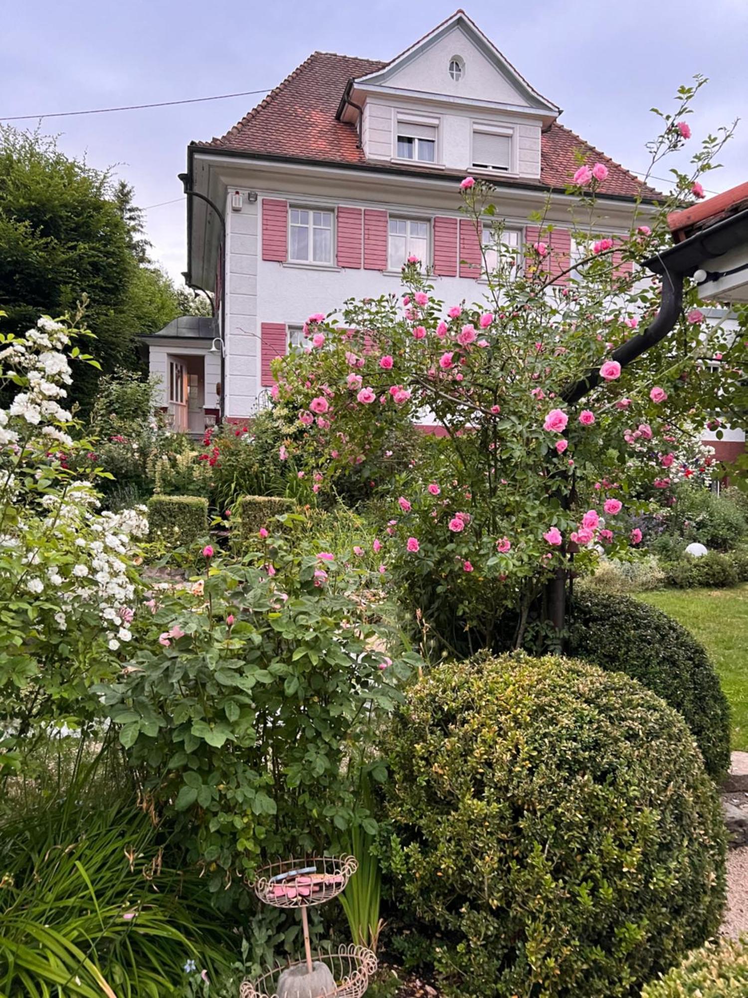 B&B Rosenliebe Niedereschach Экстерьер фото