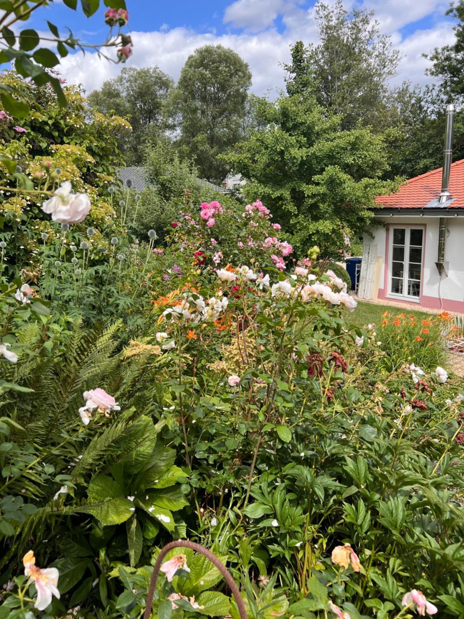B&B Rosenliebe Niedereschach Экстерьер фото